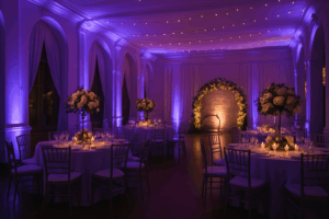 Eclairage monté par fiesta night pour un mariage